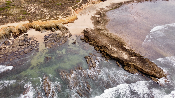 Stoney Beach Alarves