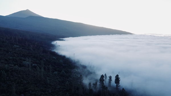 Sea of fog near La Orotava