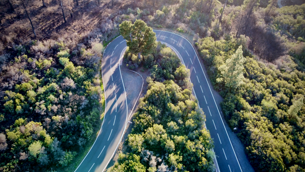 Road turn in La Orotava