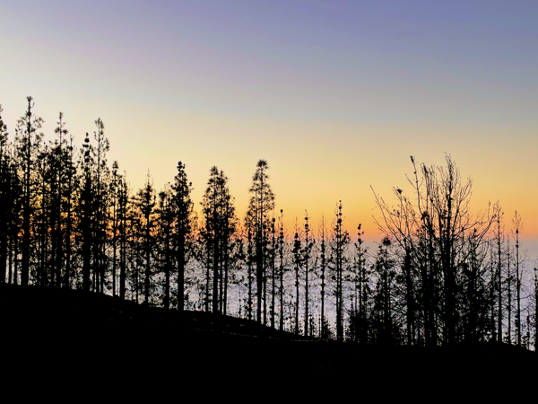 Sunset in La Orotava